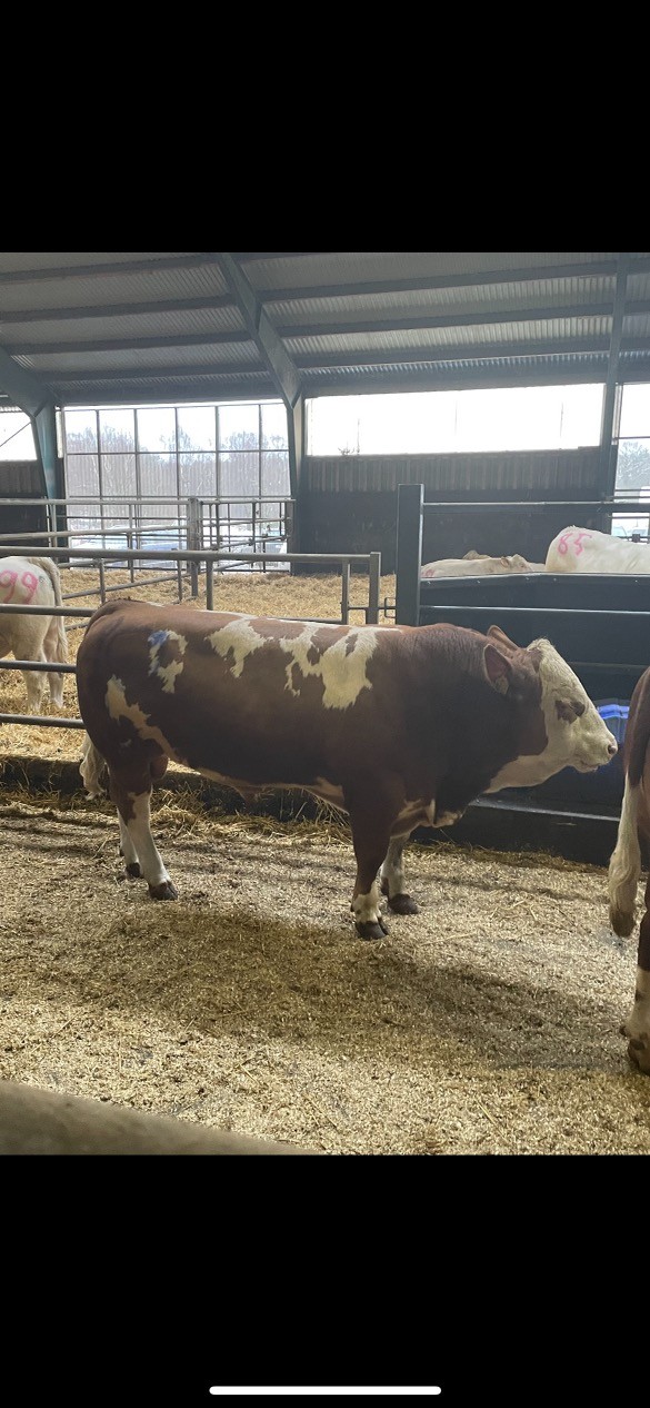 652 Ior av Björnahult